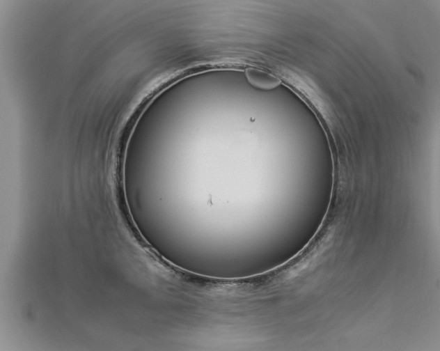 X0000112871093200908281619