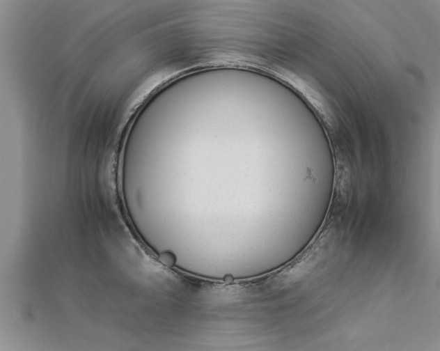 X0000112871094200908281619