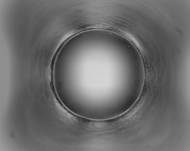 X0000112871095200908281619