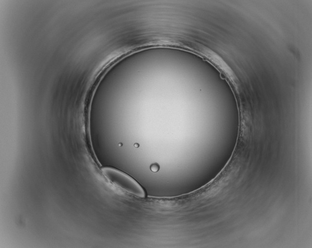 X0000112871096200908281619