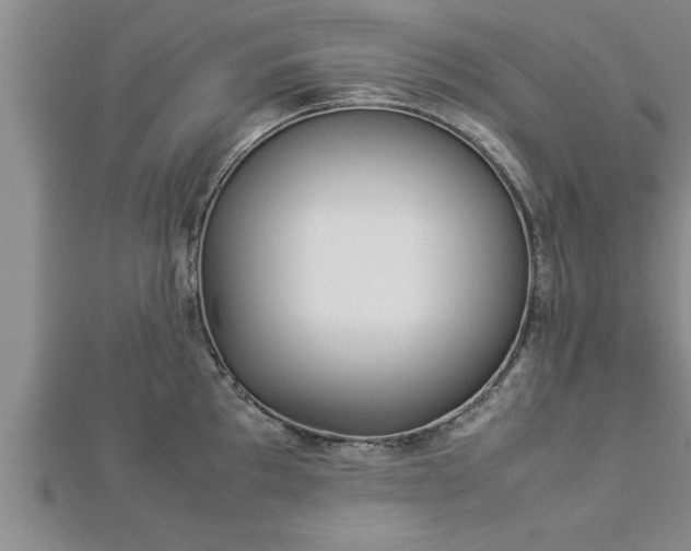 X0000112871097200908281619