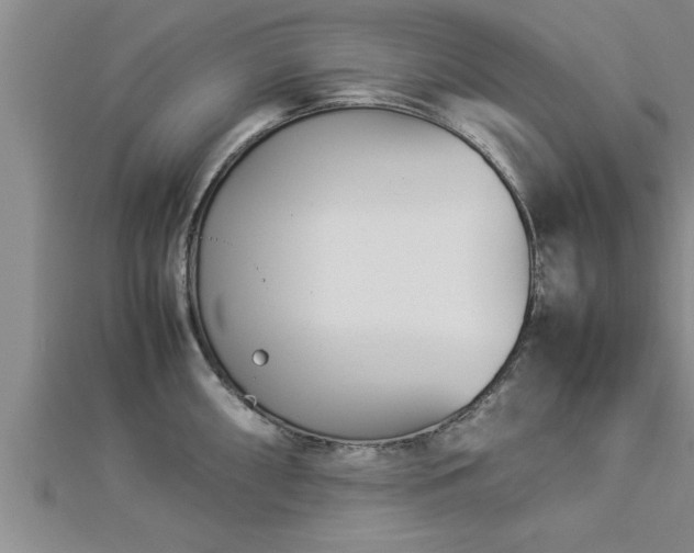 X0000112871098200908281619