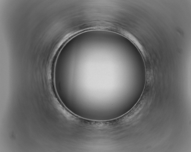 X0000112871099200908281619