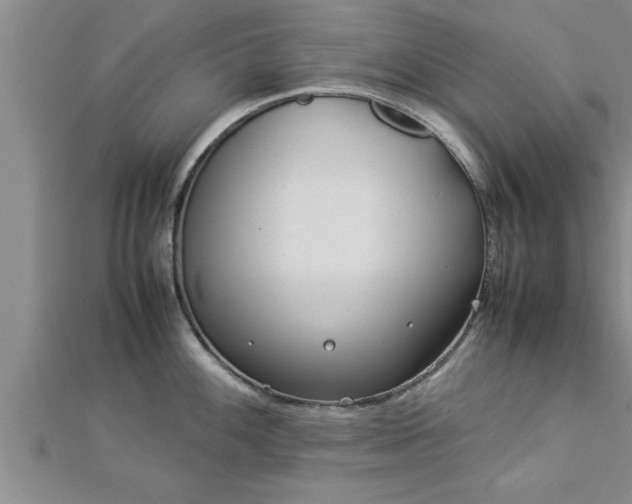 X0000112871100200908281619