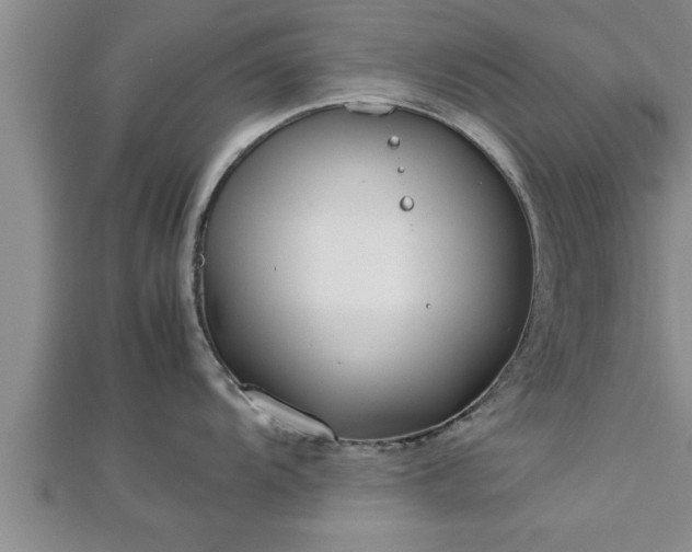 X0000112871104200908281619