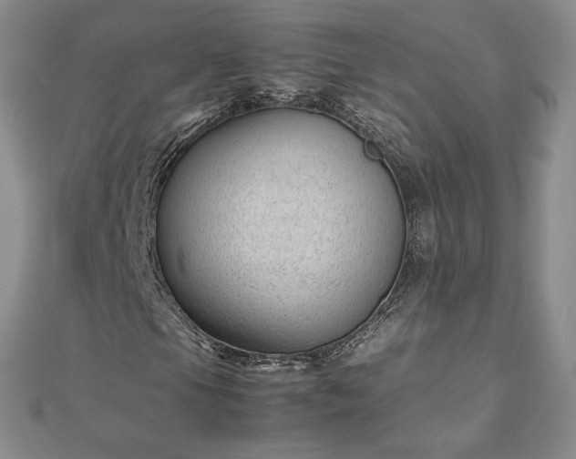 X0000112871105200908281619