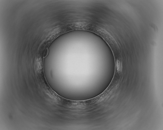 X0000112871107200908281619