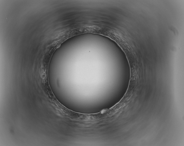 X0000112871109200908281619