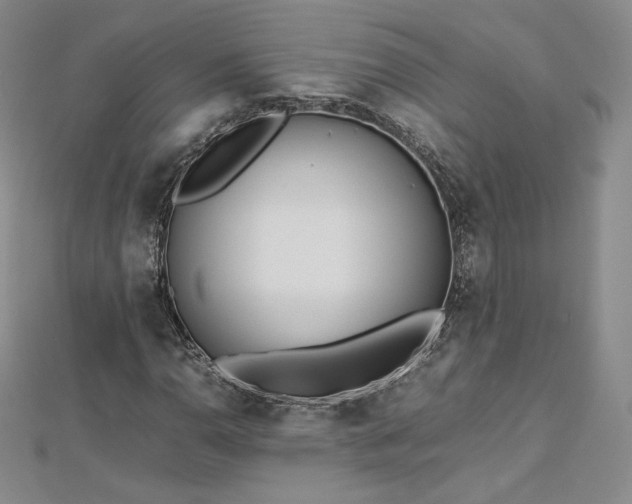 X0000112871110200908281619