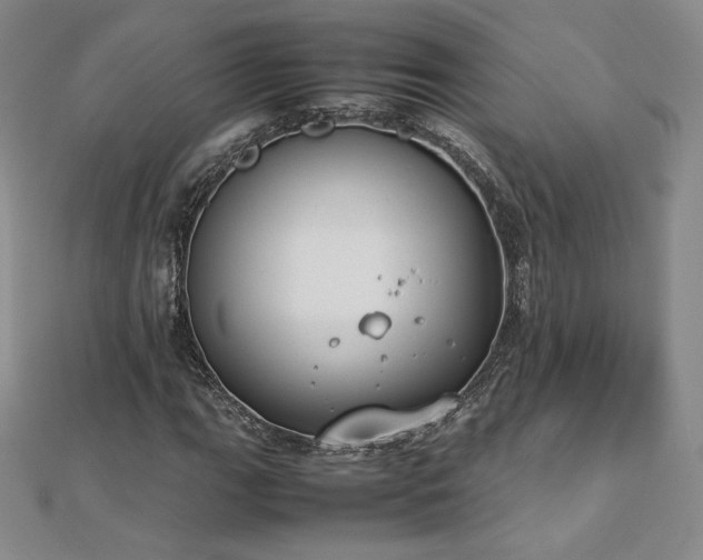 X0000112871111200908281619