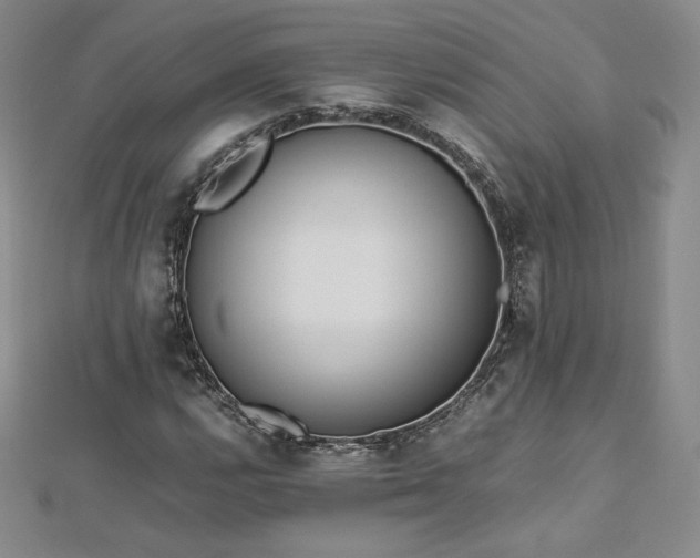 X0000112871112200908281619