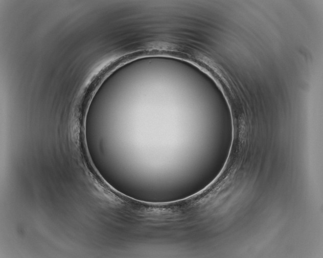 X0000112871115200908281619