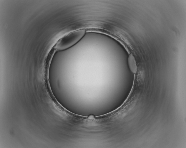 X0000112871116200908281619