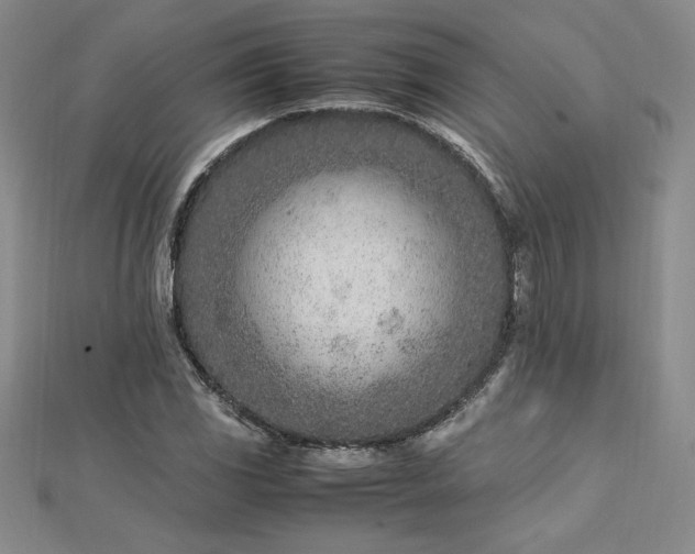 X0000112871117200908281619