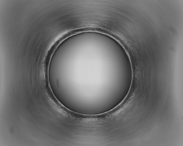 X0000112871118200908281619