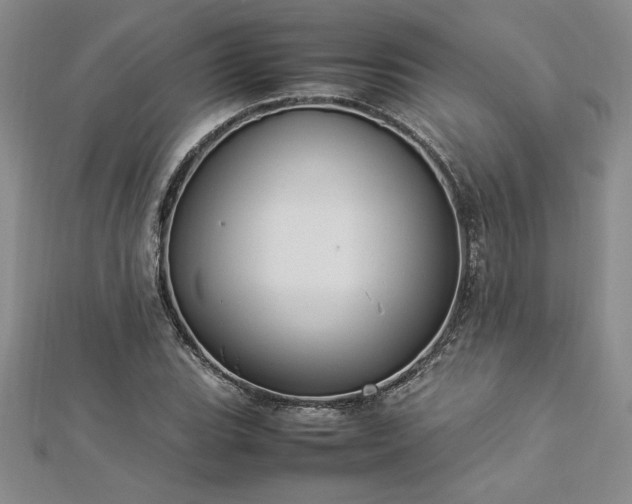 X0000112871119200908281619