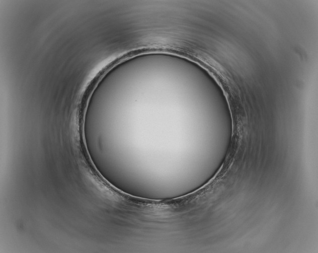 X0000112871120200908281619