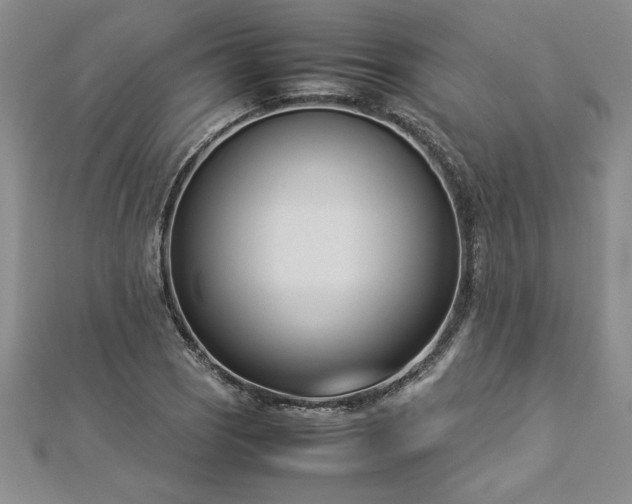 X0000112871121200908281619