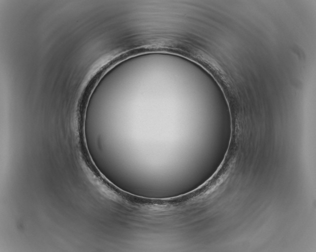 X0000112871122200908281619