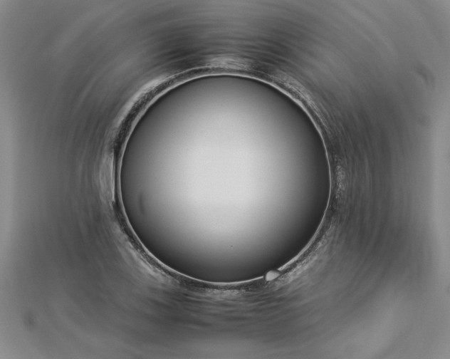 X0000112871123200908281619