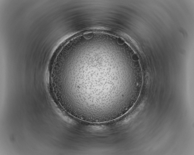 X0000112871125200908281619