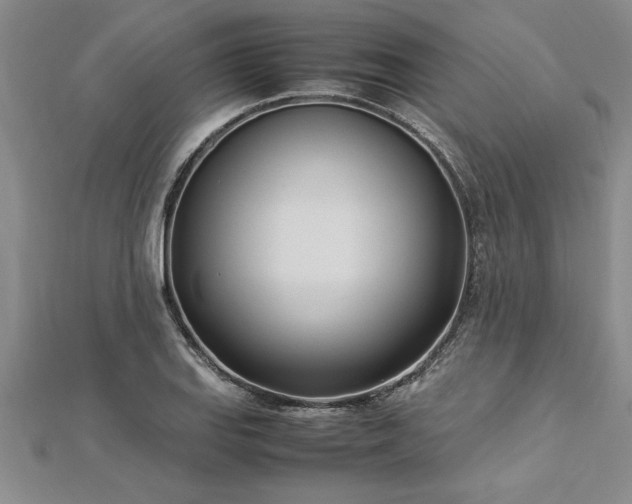 X0000112871127200908281619