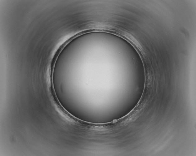 X0000112871128200908281619