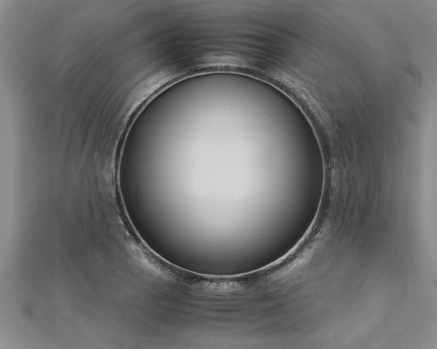 X0000112871129200908281619