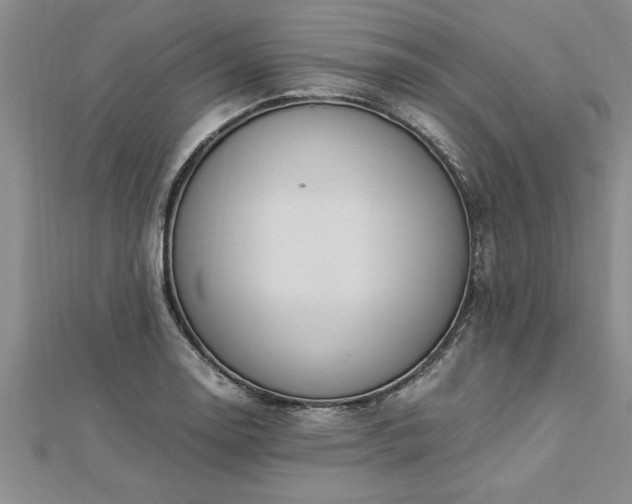 X0000112871130200908281619