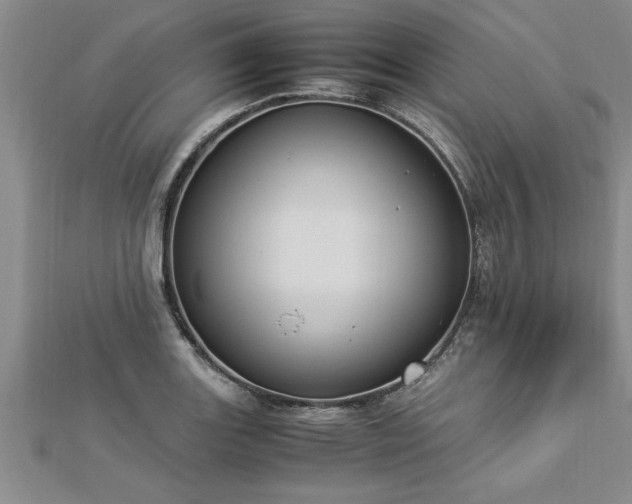 X0000112871131200908281619