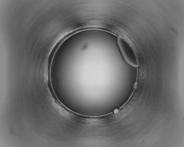 X0000112871132200908281619