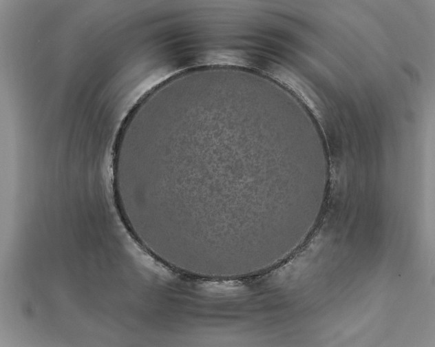 X0000112871133200908281619