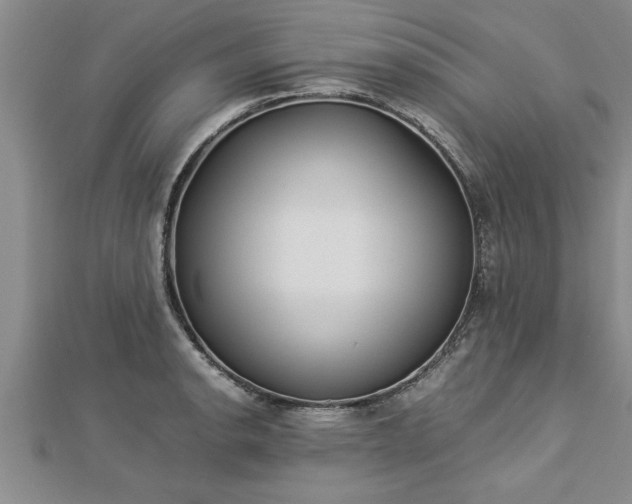 X0000112871134200908281619