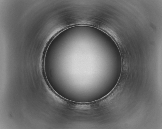 X0000112871135200908281619