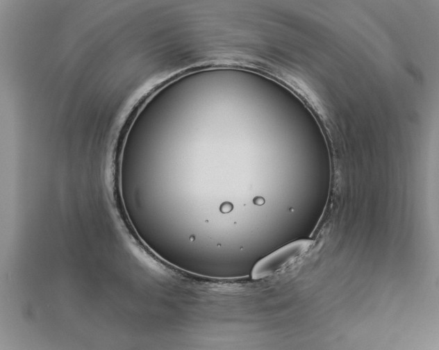 X0000112871136200908281619