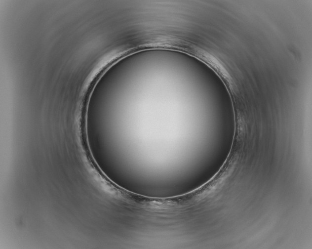 X0000112871138200908281619