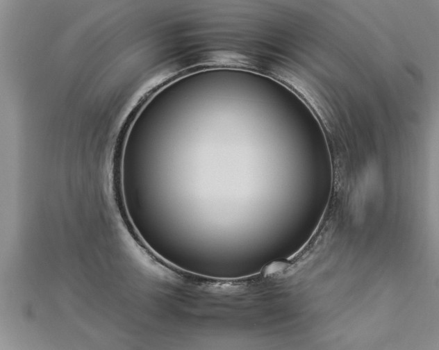 X0000112871139200908281619