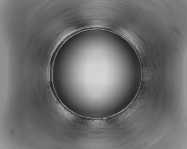 X0000112871140200908281619