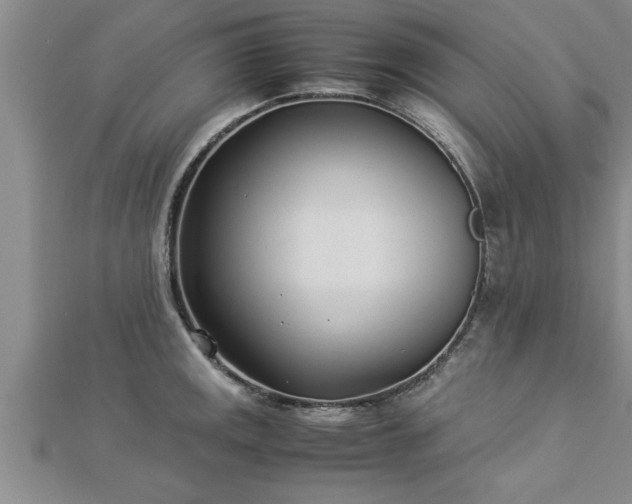 X0000112871141200908281619