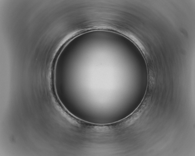 X0000112871142200908281619