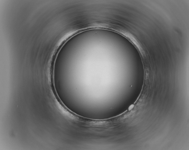 X0000112871143200908281619