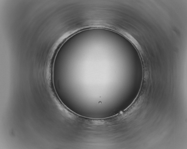 X0000112871144200908281619