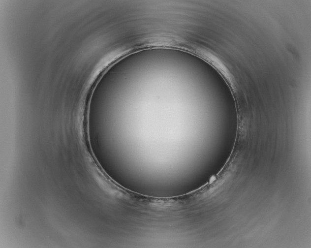 X0000112871146200908281619