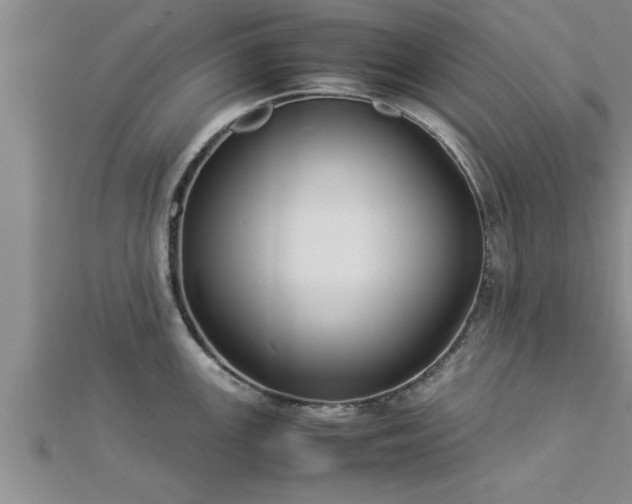 X0000112871147200908281619