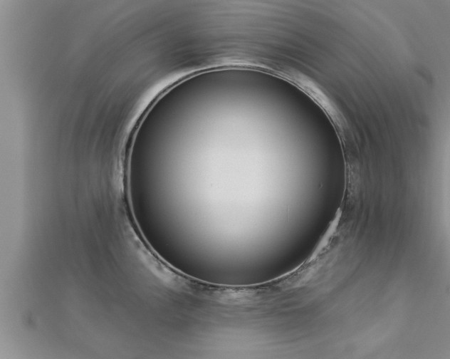 X0000112871148200908281619