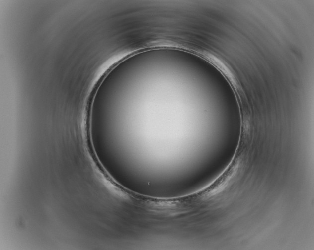 X0000112871149200908281619