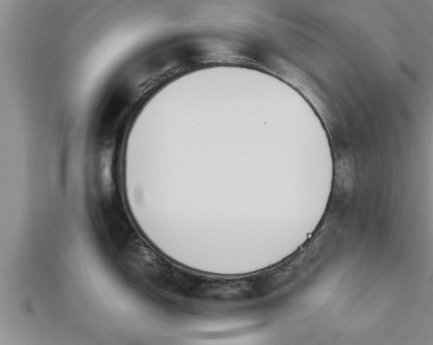 X0000112871150200908281619