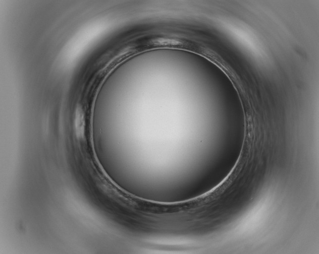 X0000112871151200908281619