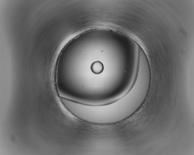 X0000112871152200908281619