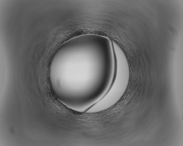 X0000112871153200908281619